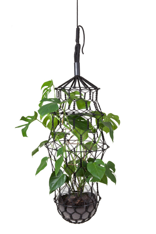 LLOT LLOV - Lucille Grand