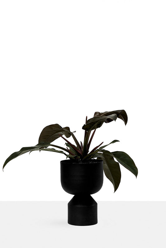 LLOT LLOV - Ada Midi