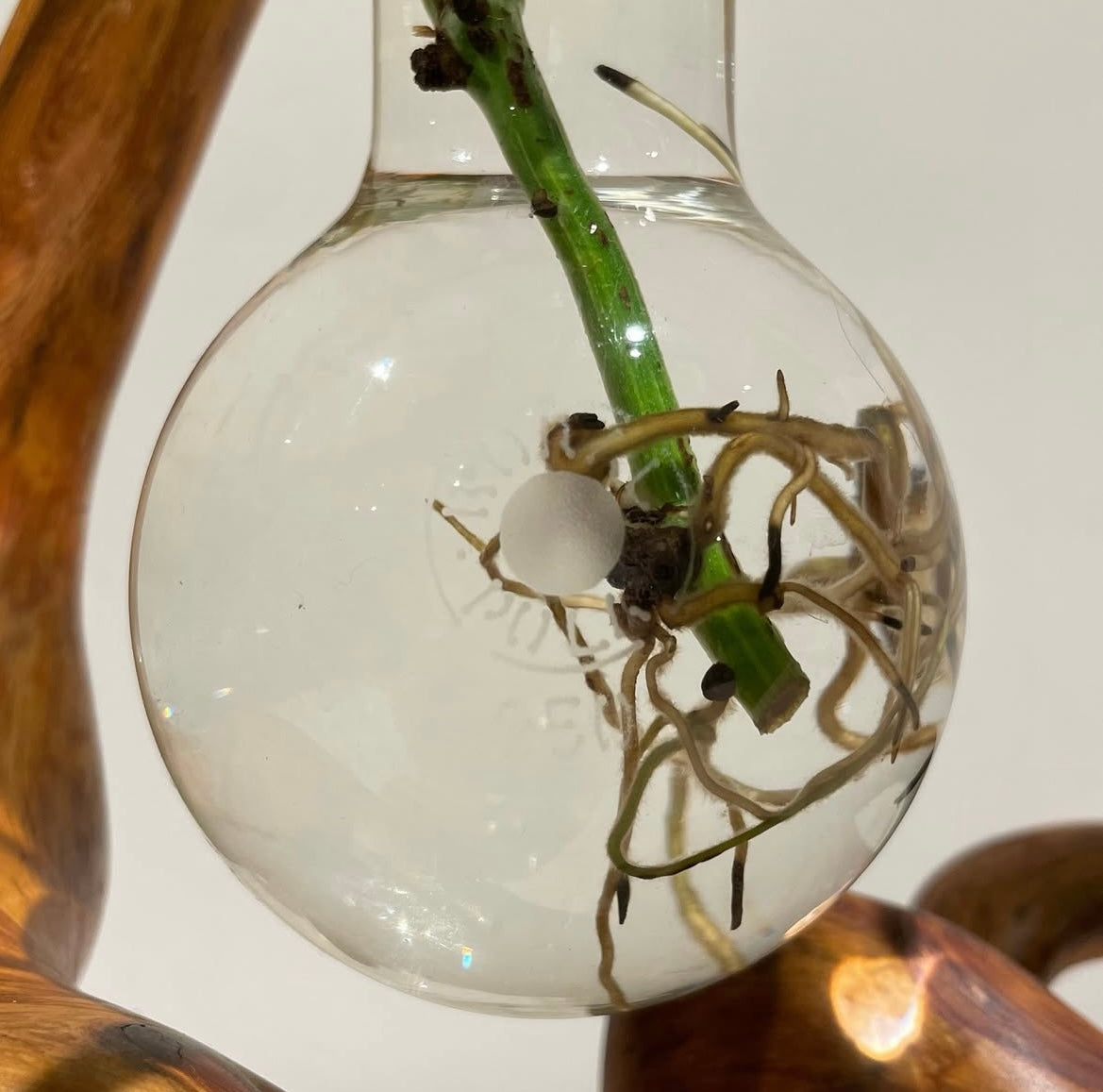 David Monnin - Untitled 38