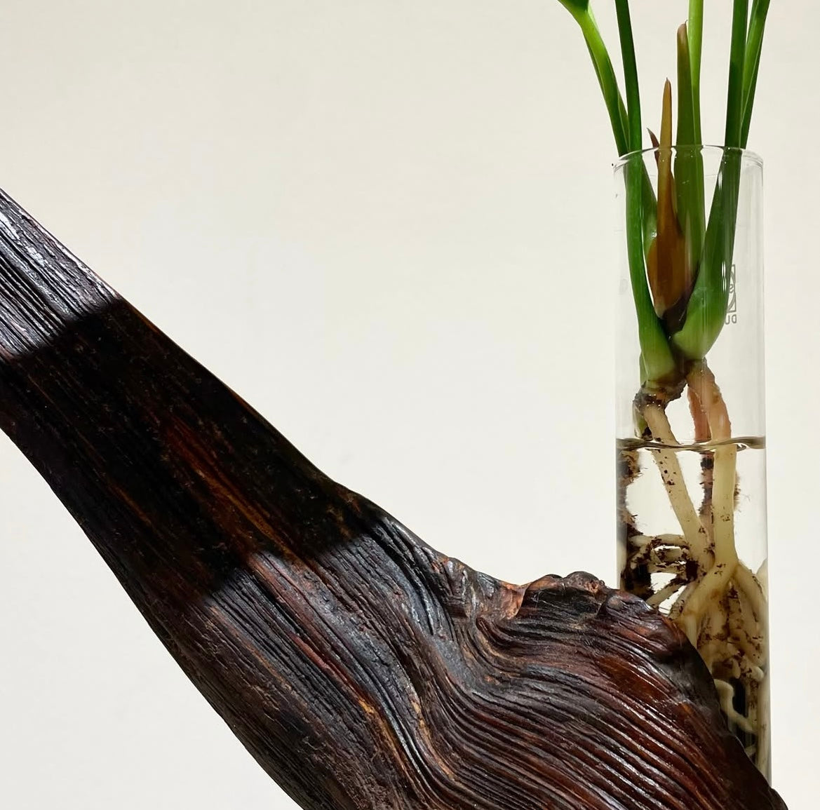 David Monnin - Untitled 39