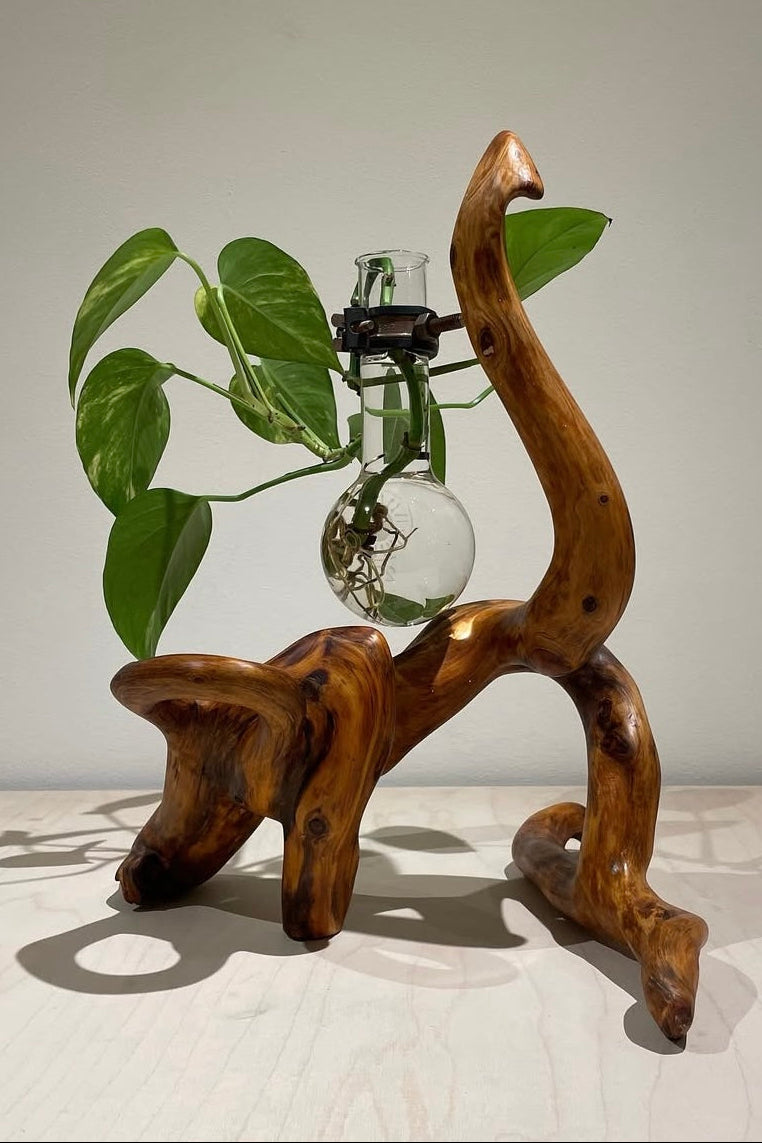 David Monnin - Untitled 38