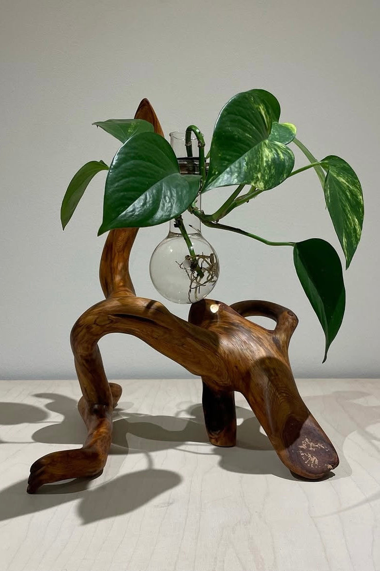 David Monnin - Untitled 38