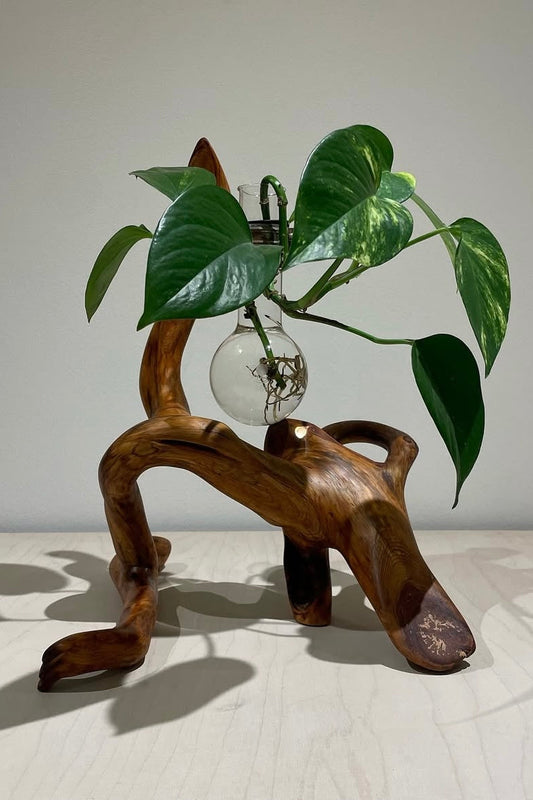 David Monnin - Untitled 38